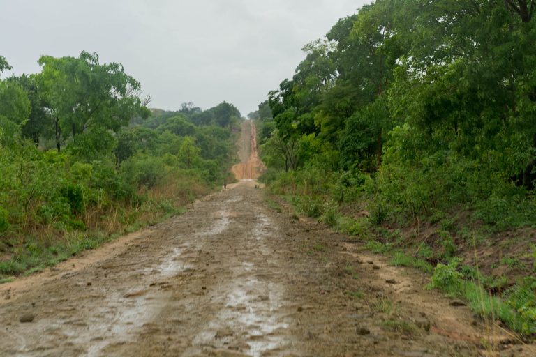 Sambia · Aufnahme 39 aus unserer Reisegalerie