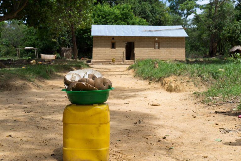 Sambia · Aufnahme 40 aus unserer Reisegalerie